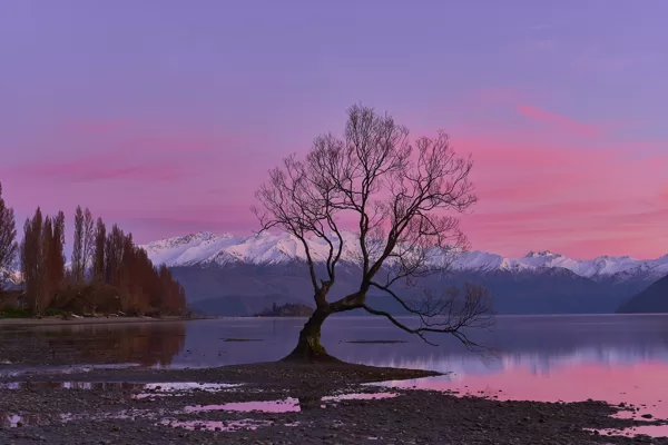 https://www.flickr.com/photos/161477217@N06/44882867581/in/pool-3731993@N23/