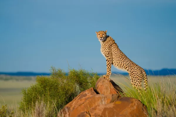 https://www.tamron.eu/lenses/150-500mm-f5-67-di-iii-vc-vxd/