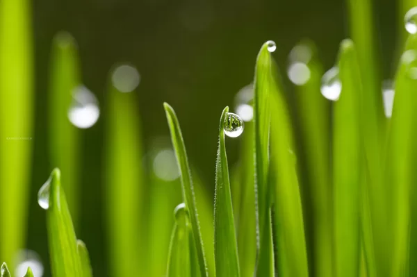 https://www.flickr.com/photos/76561972@N07/53027838867/in/pool-14791323@N21/